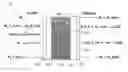 Fig. 01 - Segmented cation-anion exchange membrane for self-humidification of fuel cells and method of making