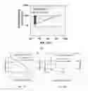 Fig. 03 - Segmented cation-anion exchange membrane for self-humidification of fuel cells and method of making