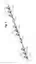 Fig. 02 - Modular artificial lighted tree with decorative light string