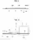 Fig. 06 - Mechanically-electrically integrated electrical rotating apparatus with high cooling performance