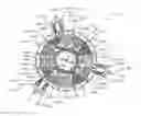 Fig. 01 - Stator for an electric motor