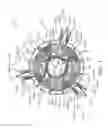 Fig. 02 - Stator for an electric motor