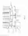 Fig. 08 - Stator for an electric motor