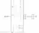 Fig. 99 - Method and apparatus for determining parameters and conditions for line of sight MIMO communication