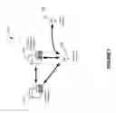 Fig. 02 - Secure component-based web applications