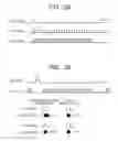 Fig. 06 - IMAGE FORMING APPARATUS
