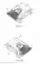 Fig. 44 - Vehicle vision system with exterior viewing camera