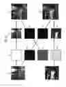 Fig. 35 - Imaging apparatus