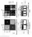 Fig. 02 - System and method for high dynamic range image sensing