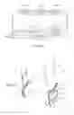 Fig. 04 - Optical device and projector