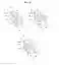 Fig. 13 - Stereoscopic image display