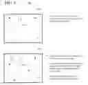 Fig. 09 - Local hash-based motion estimation for screen remoting scenarios