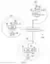 Fig. 02 - Electronic device and base station for transmitting physical-layer control information and higher-layer data for a terminal device