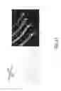 Fig. 44 - Artificial light configured for daylight emulation