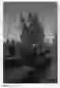 Fig. 02 - Nectarine tree named 'CAKEMOON'