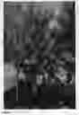 Fig. 02 - Peach tree named 'FLATCANDY'