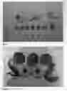 Fig. 03 - Peach tree named 'Crisplova'