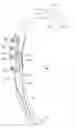 Fig. 01 - Tillage and fertilizer knife attachment method