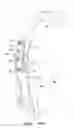 Fig. 08 - Tillage and fertilizer knife attachment method