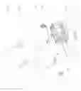 Fig. 04 - ROTARY SCISSORING MOWER