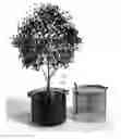 Fig. 01 - PLANT CONTAINER