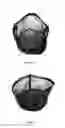 Fig. 02 - PLANT CONTAINER