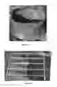 Fig. 08 - PLANT CONTAINER