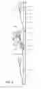 Fig. 08 - Vertical assembly for growing plants