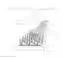 Fig. 01 - Pinniped Deterrent