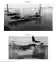 Fig. 02 - Pinniped Deterrent