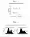 Fig. 02 - METHOD FOR CRYOPRESERVATION OF CARDIOCYTES DERIVED FROM PLURIPOTENT STEM CELLS OR MESENCHYMAL STEM CELLS DERIVED FROM ADIPOSE TISSUE OR BONE MARROW