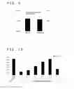 Fig. 06 - METHOD FOR CRYOPRESERVATION OF CARDIOCYTES DERIVED FROM PLURIPOTENT STEM CELLS OR MESENCHYMAL STEM CELLS DERIVED FROM ADIPOSE TISSUE OR BONE MARROW