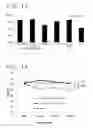 Fig. 07 - METHOD FOR CRYOPRESERVATION OF CARDIOCYTES DERIVED FROM PLURIPOTENT STEM CELLS OR MESENCHYMAL STEM CELLS DERIVED FROM ADIPOSE TISSUE OR BONE MARROW