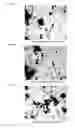 Fig. 07 - Methods and formulations for storing entomopathogenic nematodes