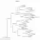 Fig. 04 - Modulated nutritional quality traits in seeds