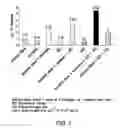 Fig. 02 - BOTANICAL ANTIMICROBIAL COMPOSITIONS
