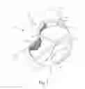 Fig. 02 - Protective gear