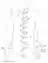 Fig. 01 - Article of clothing having magnetic fastening assemblies