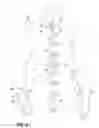 Fig. 07 - Article of clothing having magnetic fastening assemblies