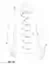 Fig. 09 - Article of clothing having magnetic fastening assemblies