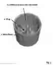 Fig. 03 - APPARATUS AND METHOD FOR HOMOGENIZING GROUND COFFEE BEANS