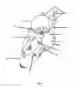 Fig. 03 - Chimney grill starter