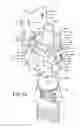 Fig. 04 - Central vacuum system and inlet valves therefor