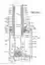 Fig. 29 - Central vacuum system and inlet valves therefor