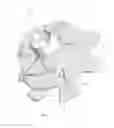 Fig. 05 - ENDOSCOPIC SLEEVE WITH WINGS