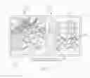 Fig. 11 - SURGICAL TISSUE RECOGNITION AND NAVIGATION APARATUS AND METHOD