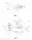 Fig. 02 - DISPLAYING IMAGE DATA FROM A SCANNER CAPSULE