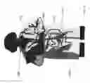 Fig. 12 - DISPLAYING IMAGE DATA FROM A SCANNER CAPSULE