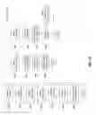 Fig. 16 - DISPLAYING IMAGE DATA FROM A SCANNER CAPSULE