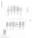 Fig. 19 - DISPLAYING IMAGE DATA FROM A SCANNER CAPSULE